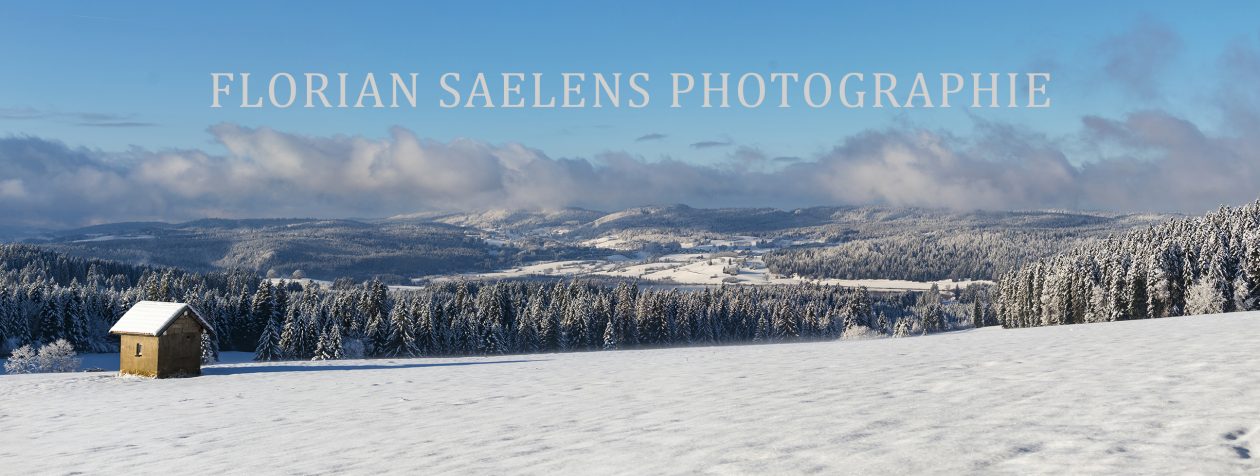 FLORIAN SAELENS PHOTOGRAPHIE
